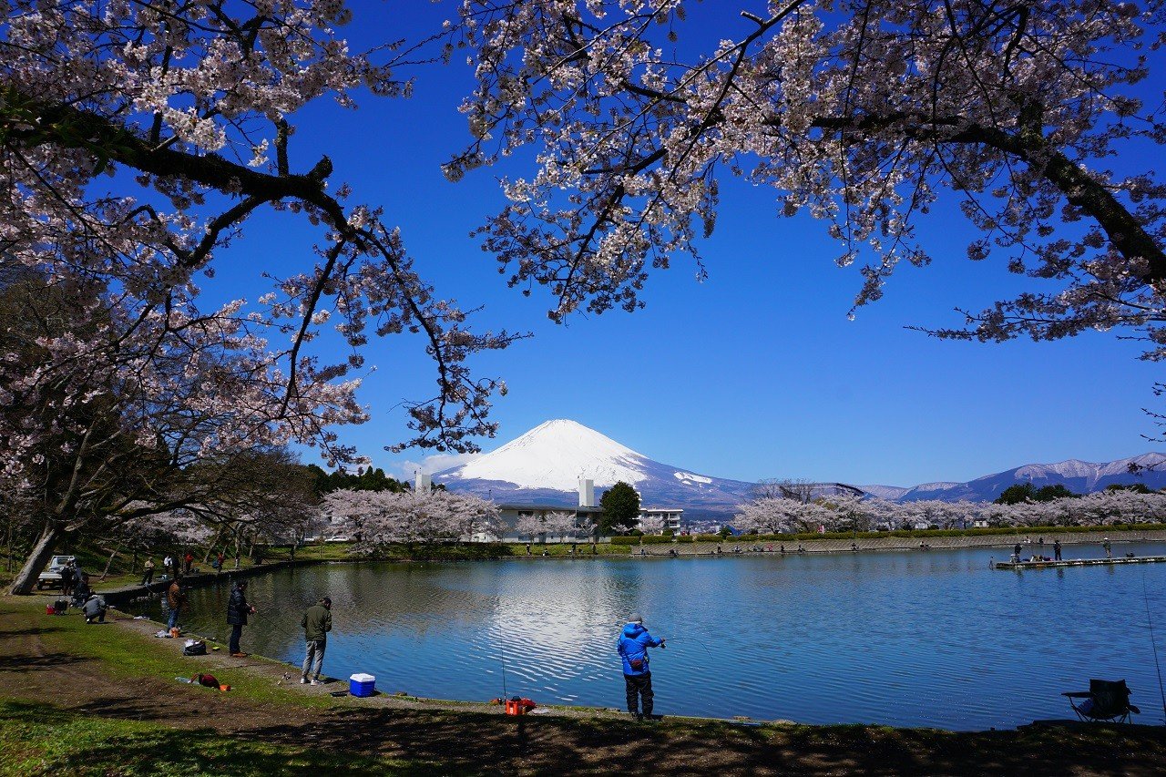🎣 히가시야마 호수 낚시터(히가시야마코 피싱구 에리아) 이미지 4